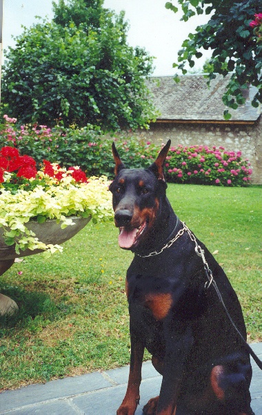 Ortz Du caire de la prairie