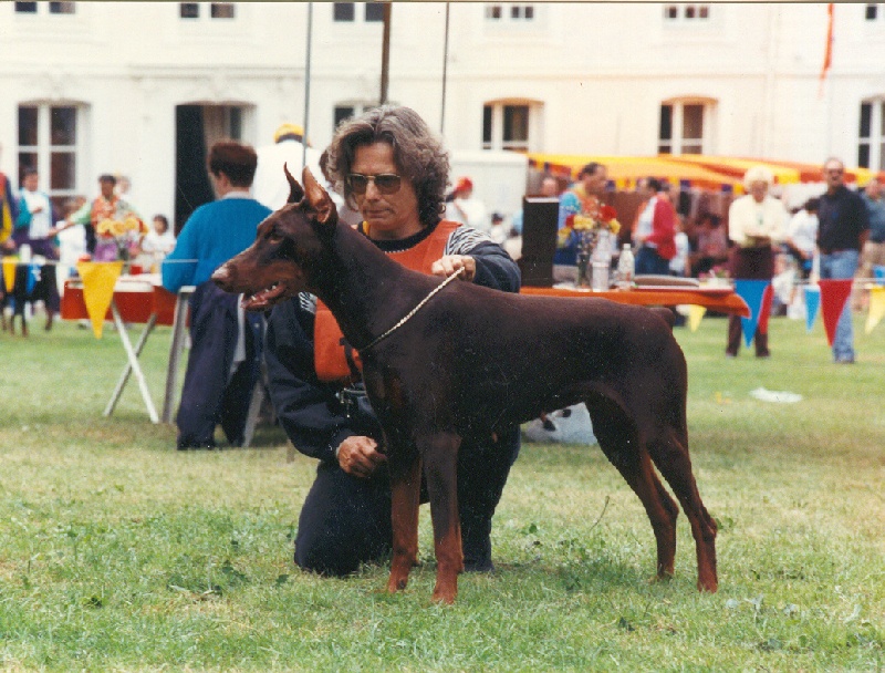 CH. Fidji Du caire de la prairie