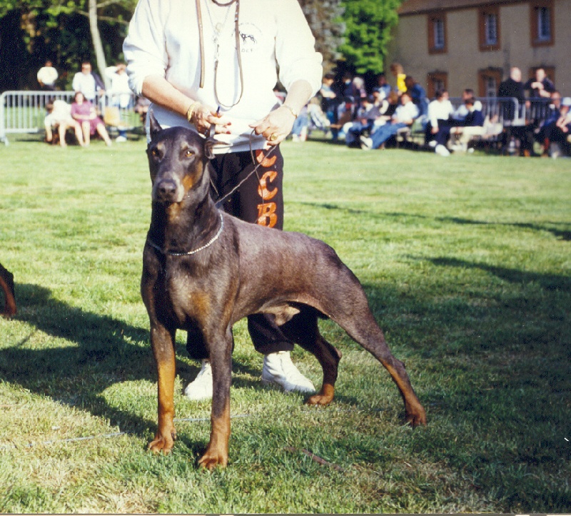 CH. Pat Du caire de la prairie